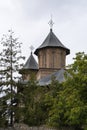 TÃÂ¢rgoviÃâ¢te castle, tower. Vlad the Impaler, Dracula`s old capital. Cloudy sky. Romania